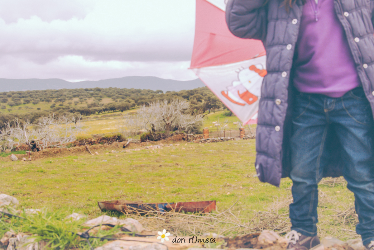 dorirOmeraTamurejo20130002