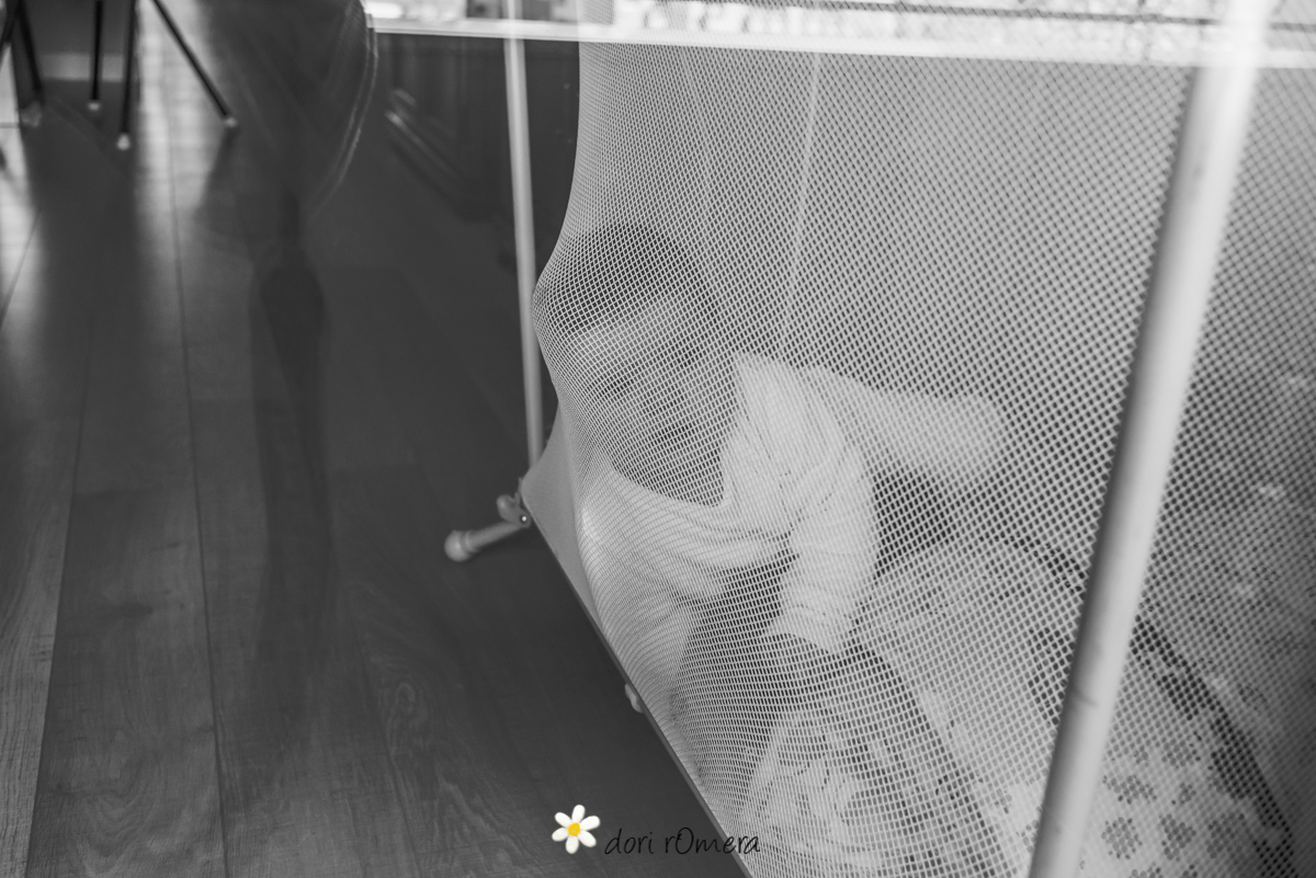 dorirOmeraMartina0052