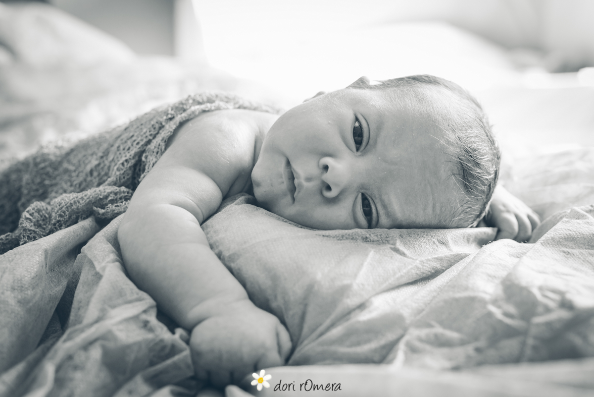 doriromeraerik0009-2